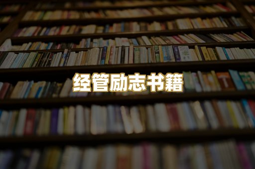 经管励志书籍